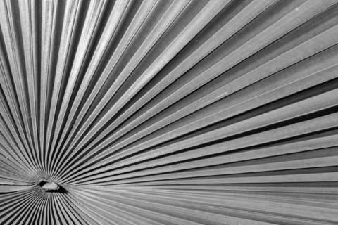 Strategic Communications